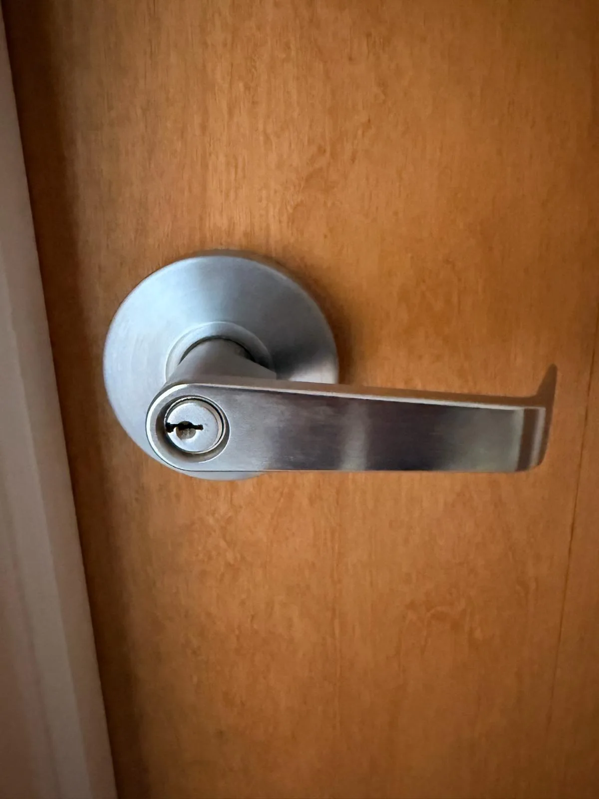 Silver lever lock on wood door